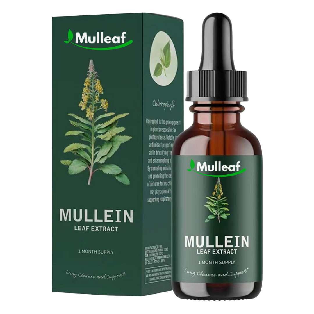 Mullein extract