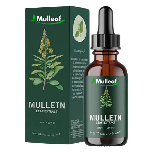 Mullein extract