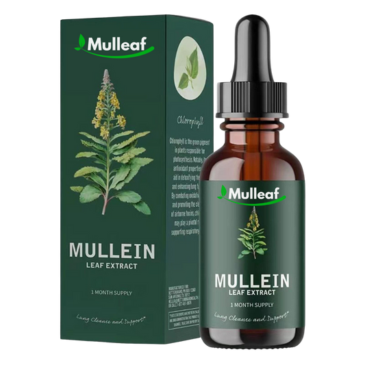 Mullein extract