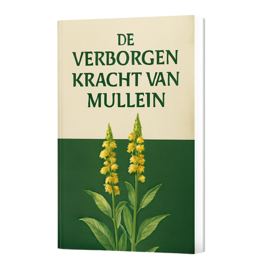 E-Book: De Verborgen Kracht van Mullein